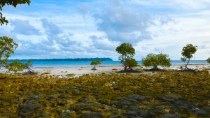 View from Silver Pearl Beach Resort on Neil Island, Andaman and Nicobar Islands
