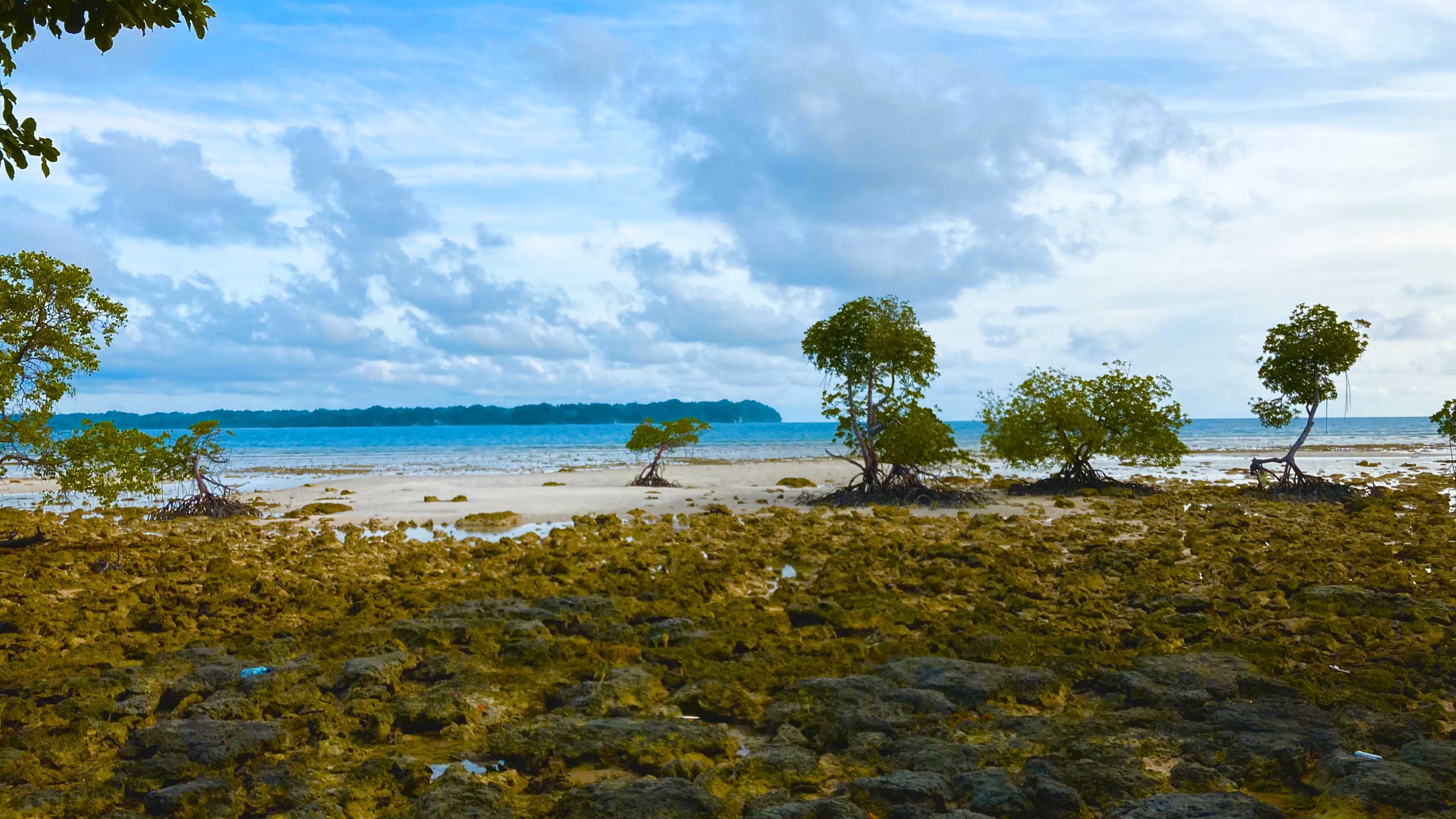 View from Silver Pearl Beach Resort on Neil Island, Andaman and Nicobar Islands